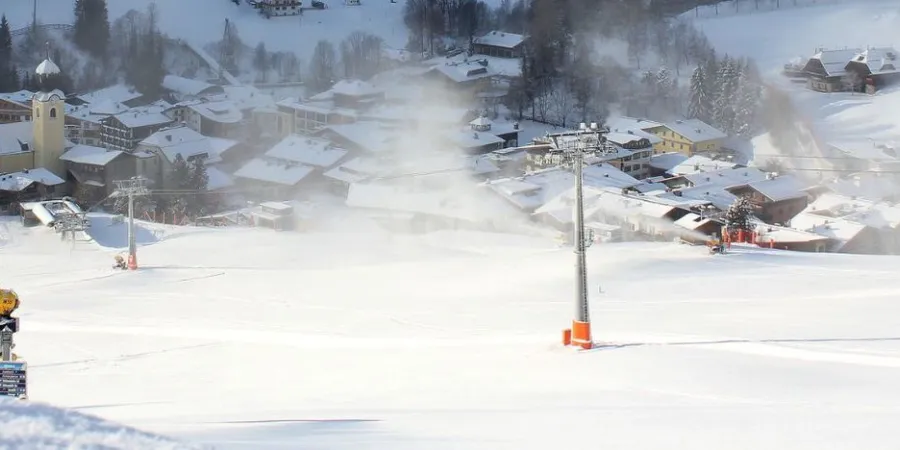 SB1600 x 483 px 1650 x 483 px