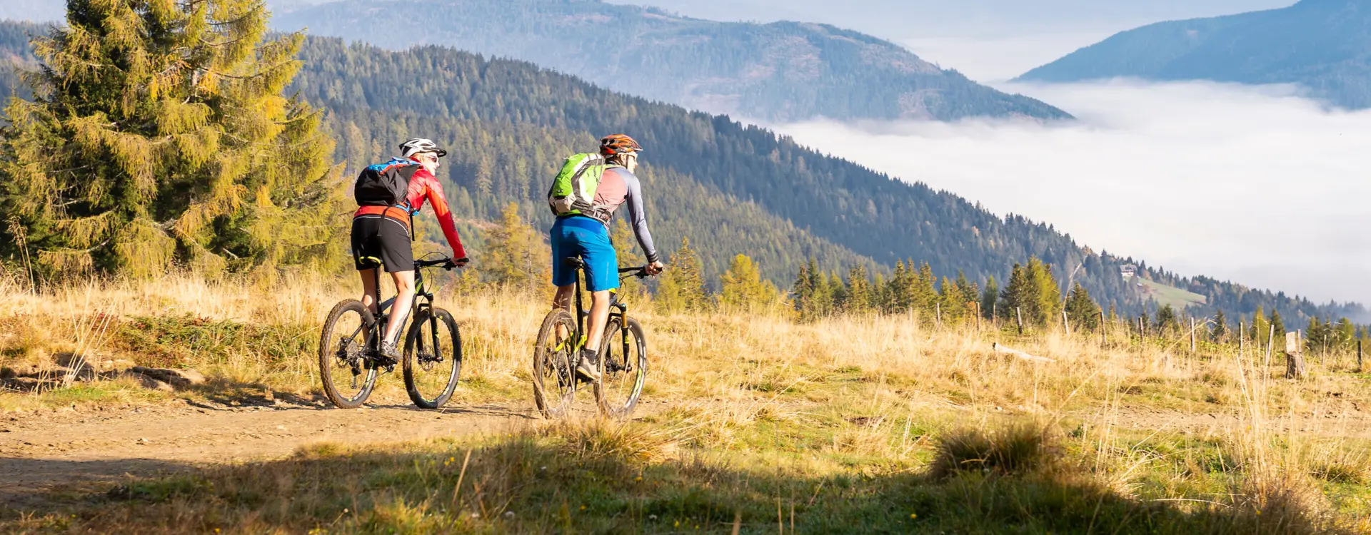 Homepage header mountainbike