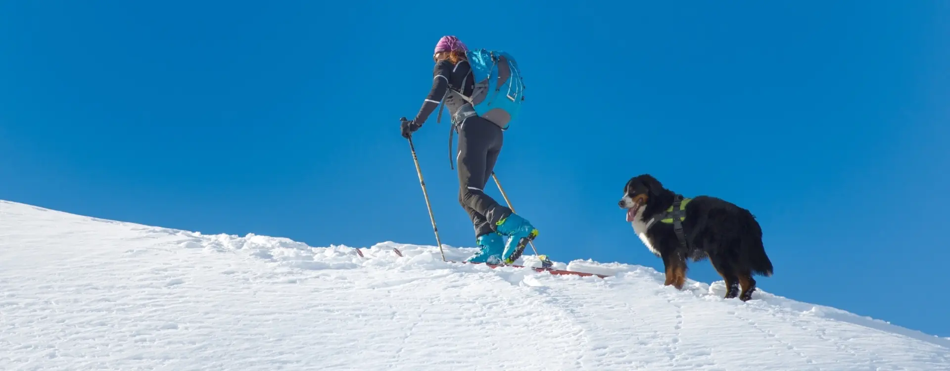 Op wintersportvakantie met je hond Foto 2
