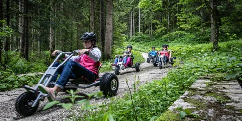 Mountainkarts