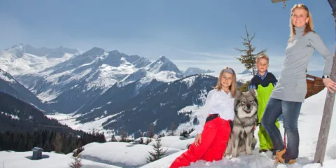 Hond op wintersport