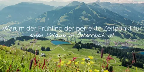 Header blog lente DE