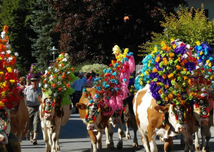 Almabtrieb westendorf
