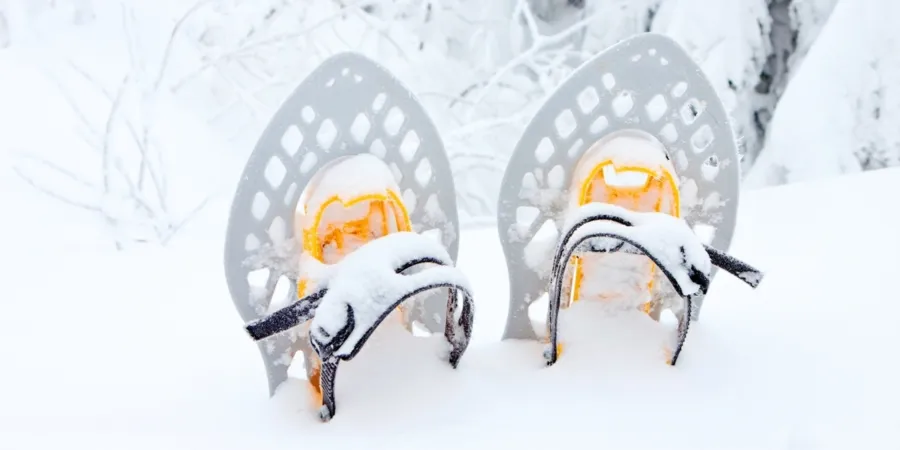 Sneeuwschoenwandelingen in Konigsleiten Foto 2