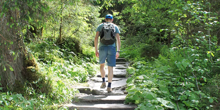 Themawandelen in Oostenrijk 1