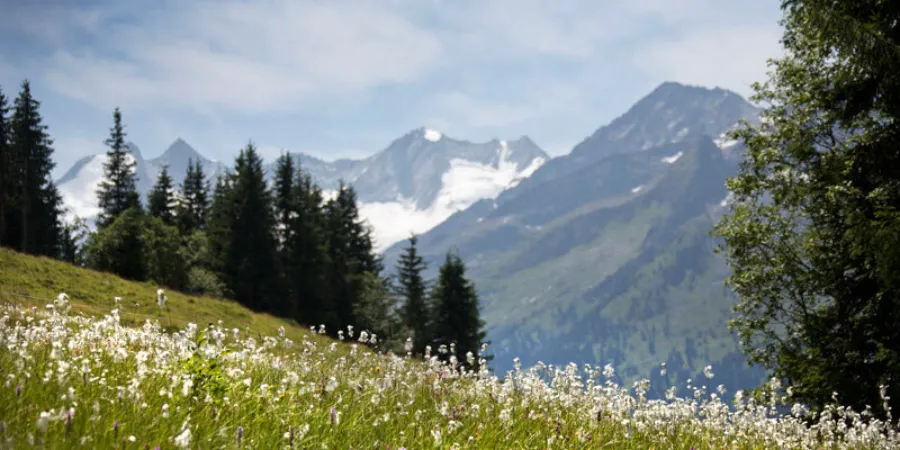 Berglandschap zillertal arena