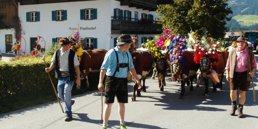 Almabtrieb oostenrijk