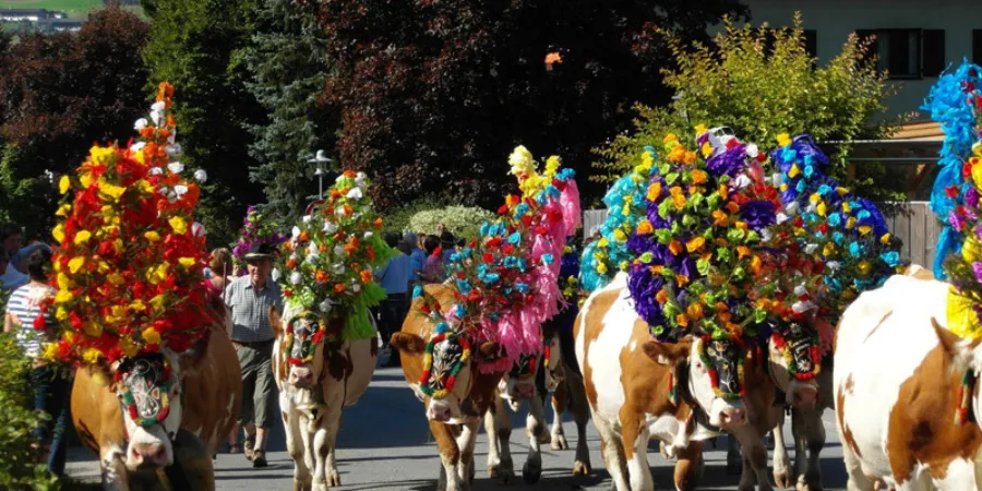 Almabtrieb westendorf