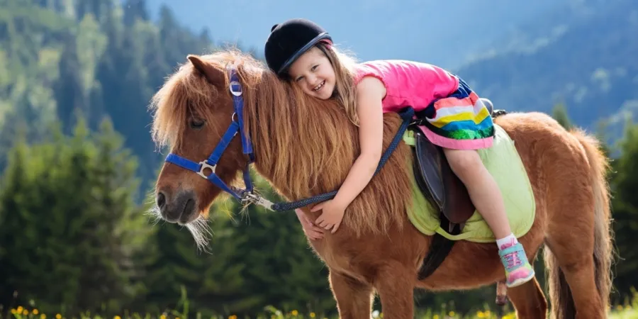 Genieten van onvergetelijke zomer in St Margarethen Foto 1
