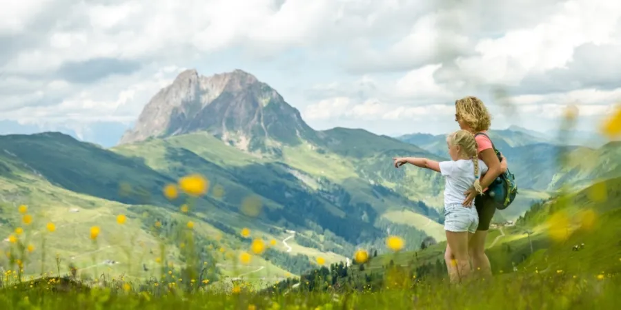 Zomer in Wald im Pinzgau Wandeling Hohe Tauern