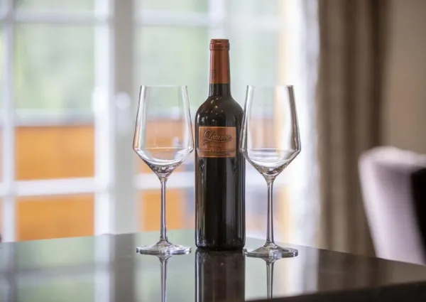 0011 SB Alpenresort B2 12