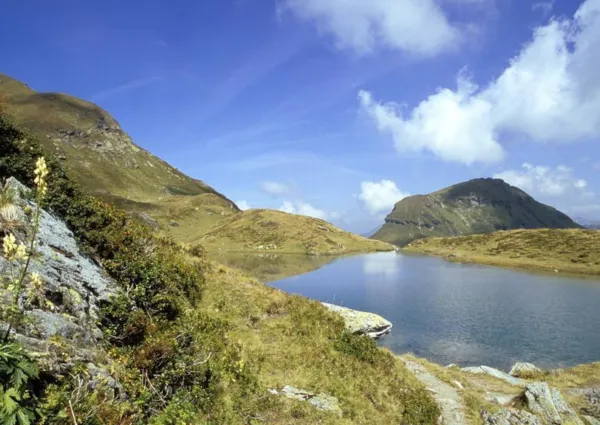 0022 SB Saalbach zomer 7