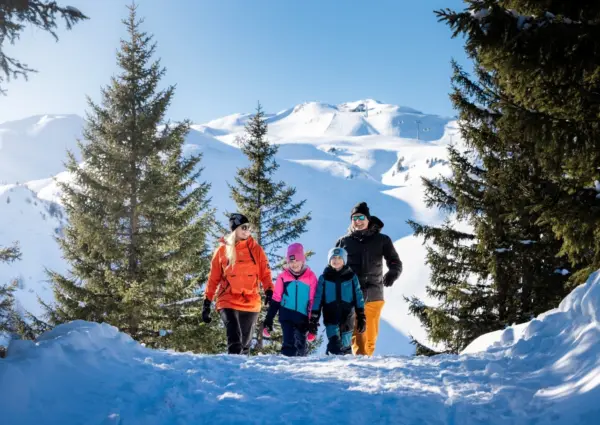 Alpinegold Rauris Tauernquelle Suite 3