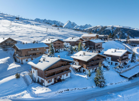 HK Silbertop Winter 2024 6