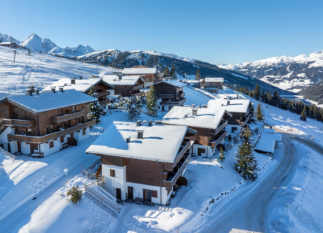 HK Silbertop Winter 2024 2