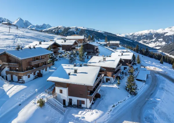 HK Silbertop Winter 2024 2