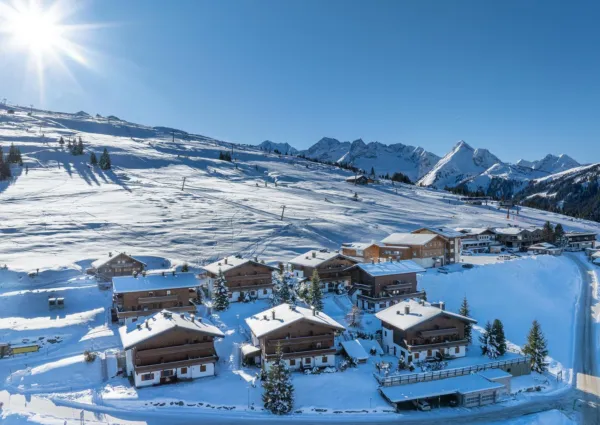 HK Silbertop Winter 2024 7