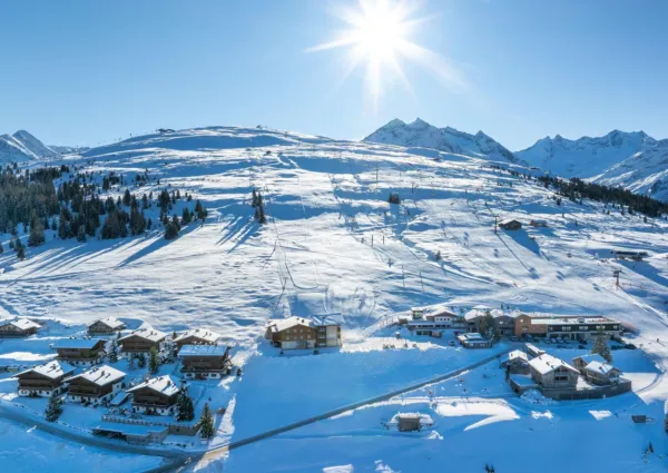 HK Silbertop Winter 2024 1