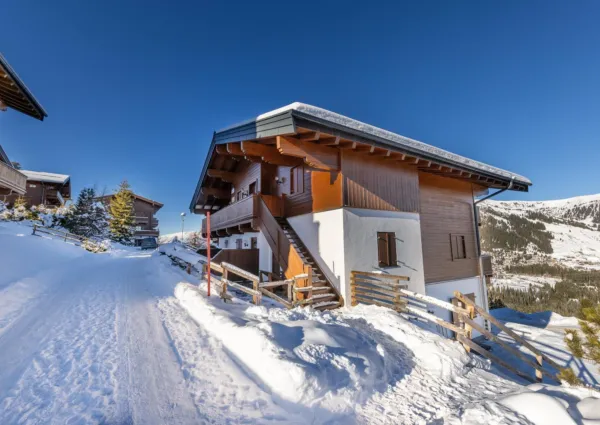 HK Silbertop Winter 2024 3