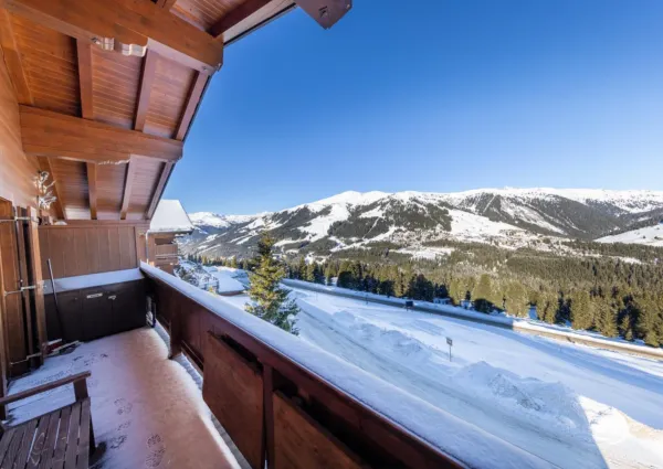 HK Silbertop Winter 2024 5