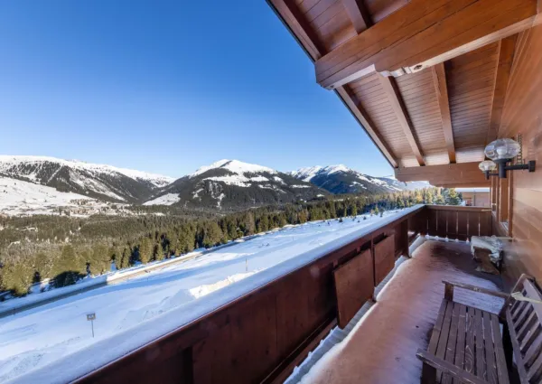 HK Silbertop Winter 2024 4