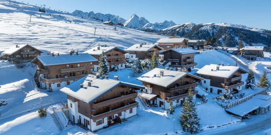 HK Silbertop Winter 2024 6