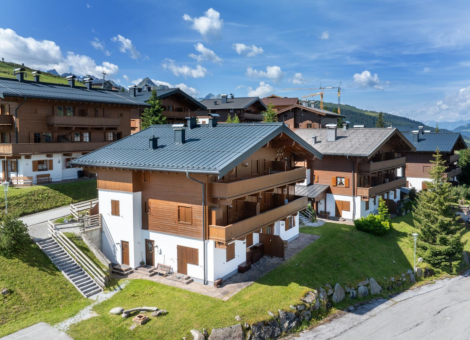 HK Silbertop zomer 2024 3