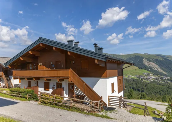 HK Silbertop zomer 2024 4