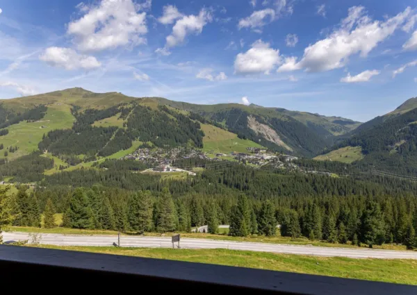 HK Silbertop zomer 2024 1