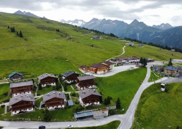 0023 HK Silbertop zomer 3