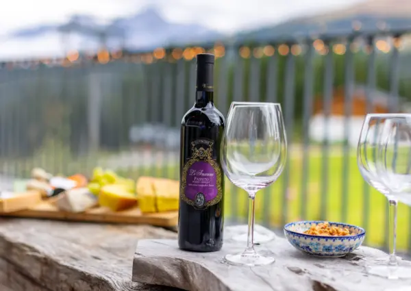 Konigsleiten Bo Chalet zomer terras detail