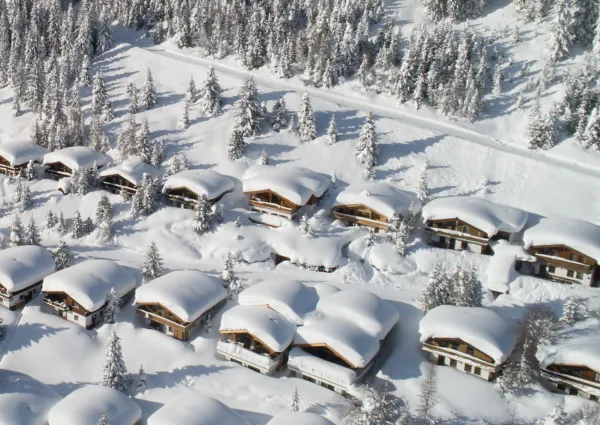 KL Bel Piano Winter 2025 1