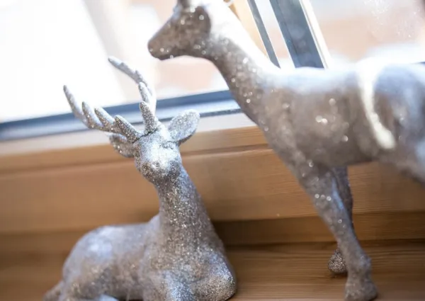 0004 FB Erholungs Zeit 13