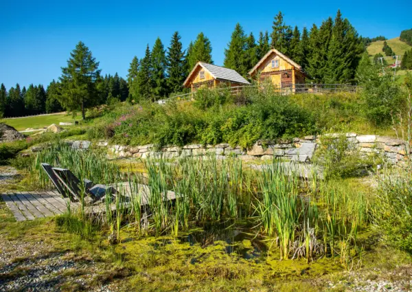 Fanningberg Zomervervijver groene omgeving