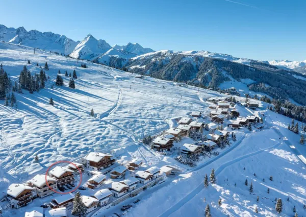 HKR Gliucksklee winter 2024 4