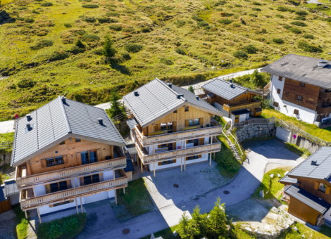 Hochkrimml Gl C3 B Ccksklee zomer 2