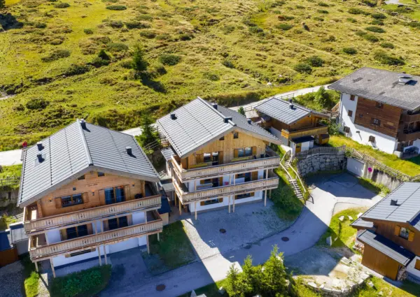 Hochkrimml Gl C3 B Ccksklee zomer 2