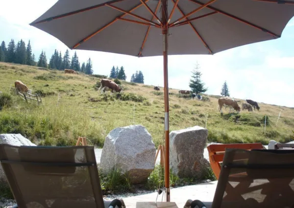 0019 HKR Ruby zomer 3