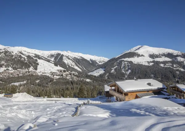 0023 HKR Silbersonne winter 7