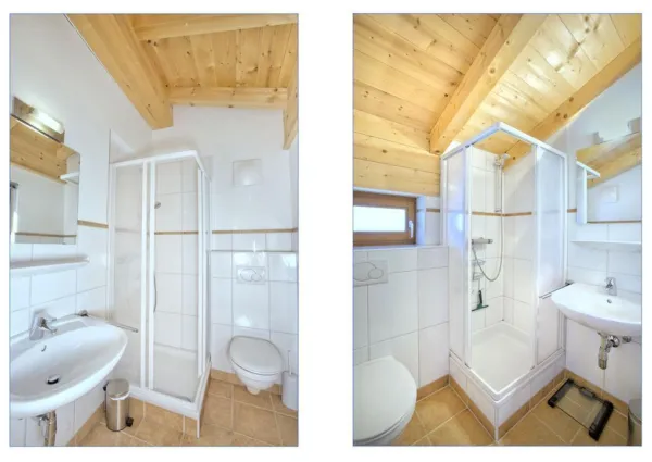 0011 HKR Silbertanne 8