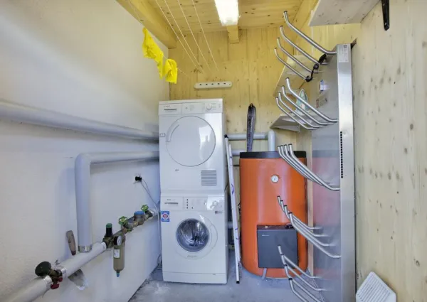 0012 HKR Silbertanne 11