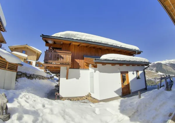 0013 HKR Silbertanne winter 1