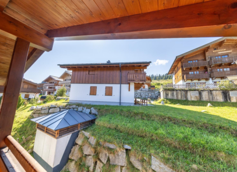 HK Silbertanne zomer 7