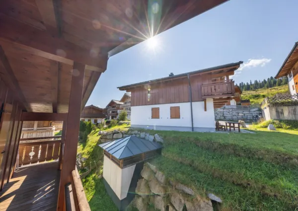 HK Silbertanne zomer 6