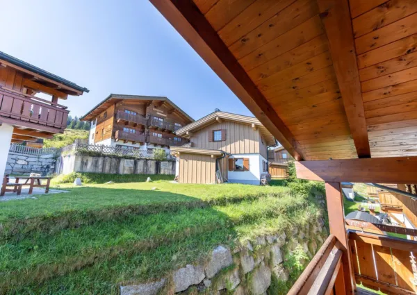 HK Silbertanne zomer 8