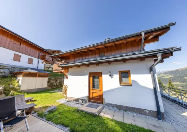 HK Silbertanne zomer 1