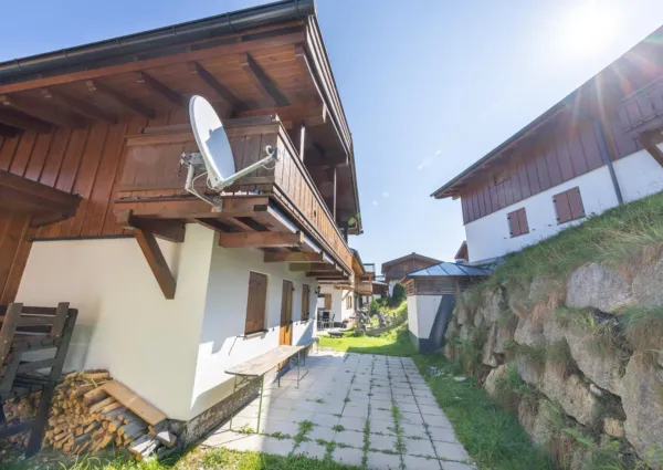 HK Silbertanne zomer 4