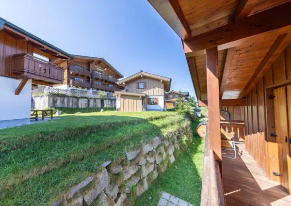 HK Silbertanne zomer 5