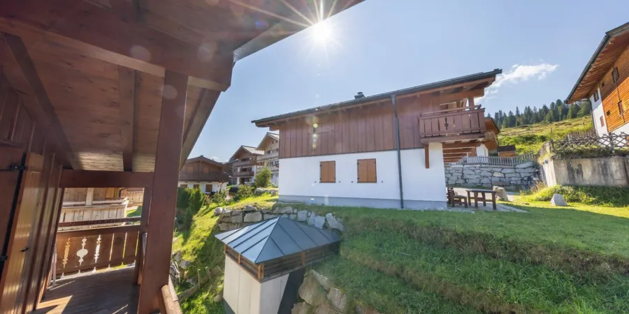 HK Silbertanne zomer 6