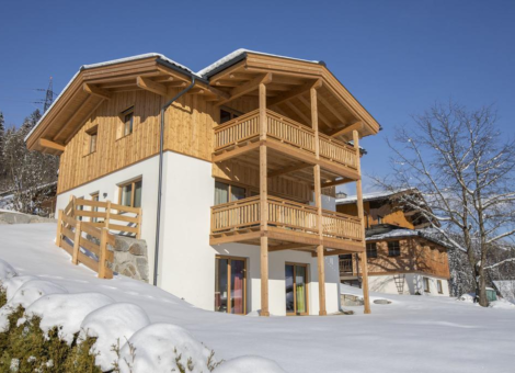 0038 NK Veenroos winter 5